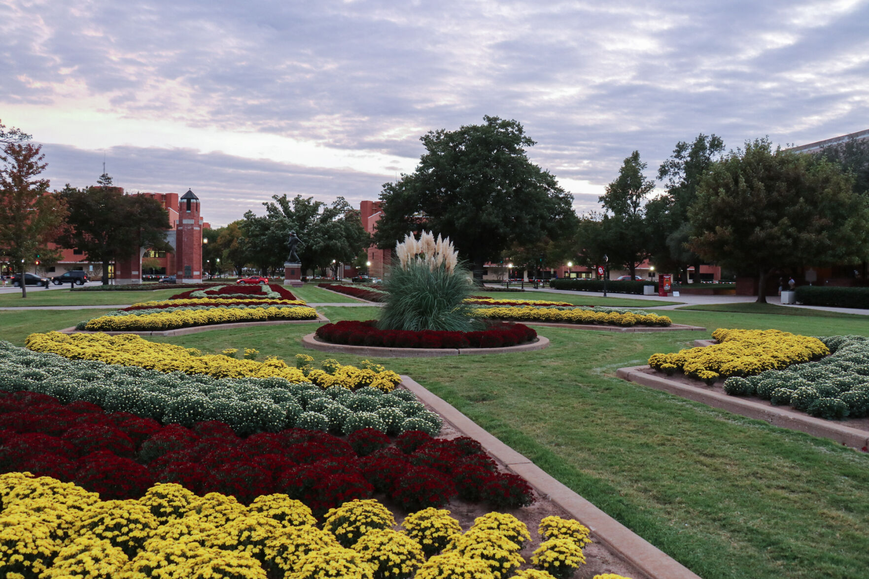 South Oval Mums